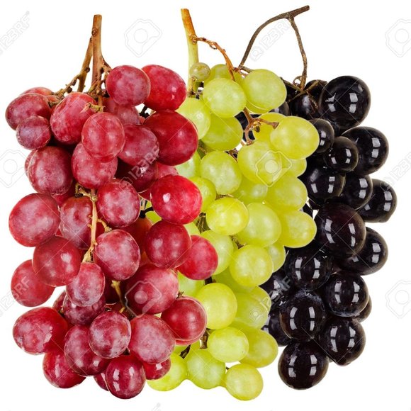 Meet your Posher, Joseph - Picture 2 of 2